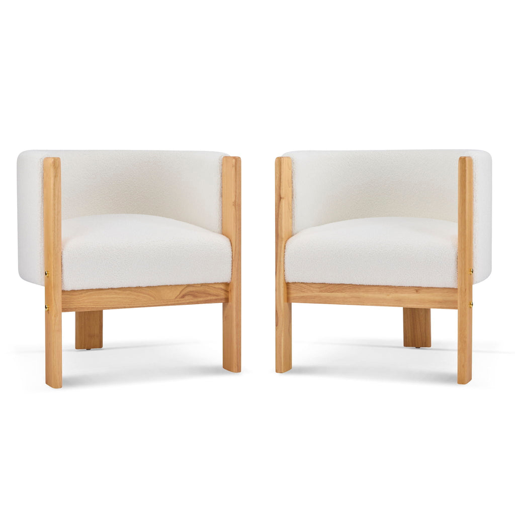 Modern Dining Chairs for Dining Area